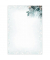 Motiv-Weihnachtsbriefpapier Eucalyptus magic DP424 A4 90g 