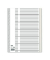 Kartonregister 400011408, 31-teilig blanko, A4, 110 g/m², weiße Taben, 31-teilig