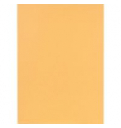 Aktendeckel 389022B, A4 chamois Recyclingkarton 250g