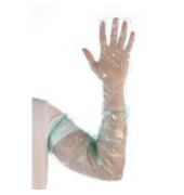 Einweghandschuhe Hygostar, Polyethylen (LDPE), lebensmittelecht, grün, Größe Einheitsgröße,