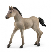Schleich Horse Club 13949 Criollo Definitivo Fohlen Spielfigur