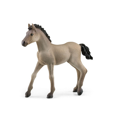 Schleich Horse Club 13949 Criollo Definitivo Fohlen Spielfigur Schleich Horse Club 13949 Criollo Definitivo Fohlen Spielfigur