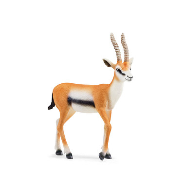 Schleich Wild Life 14861 Thomson Gazelle Spielfigur Schleich Wild Life 14861 Thomson Gazelle Spielfigur