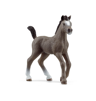 Schleich Horse Club 13957 Cheval de Selle Francais Fohlen Spielfigur Schleich Horse Club 13957 Cheval de Selle Francais Fohlen Spielfigur