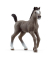 Schleich Horse Club 13957 Cheval de Selle Francais Fohlen Spielfigur