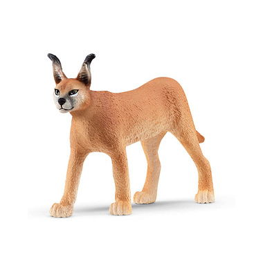 Schleich Wild Life 14867 Karakal Weibchen Spielfigur Schleich Wild Life 14867 Karakal Weibchen Spielfigur