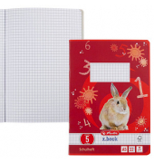 Schulheft 340059 x.book, Lineatur 5 / kariert, A5, 80g, rot, 32 Blatt / 64 Seiten