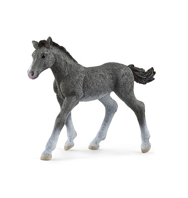 Schleich Horse Club 13944 Trakehner Fohlen Spielfigur Schleich Horse Club 13944 Trakehner Fohlen Spielfigur