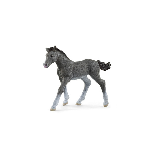 4059433461106 - Horse Club 13944 Trakehner Fohlen Spielfigur 4059433461106 Schleich