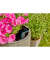 GARDENA Bodenfeuchtesensor smart App