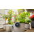 GARDENA Solar-Bewässerungs-Set AquaBloom Set