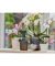 GARDENA Pumpsprühflasche schwarz, grau