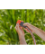 GARDENA Gartenschlauchadapter Profi