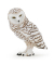 papo Wildtiere der Welt 50167 Schnee-Eule Spielfigur
