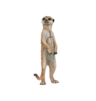 papo Wildtiere der Welt 50206 Stehendes Erdmännchen Spielfigur