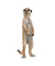 papo Wildtiere der Welt 50206 Stehendes Erdmännchen Spielfigur