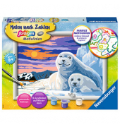 Ravensburger Malen-nach-Zahlen Niedliche Robben mehrfarbig
