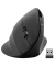 speedlink PIAVO Maus ergonomisch kabellos schwarz
