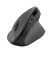 speedlink PIAVO Maus ergonomisch kabellos schwarz