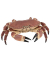 papo Meereswelt 56047 Krabbe Spielfigur