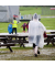 Regenponcho, transparent, Größe Einheitsgröße