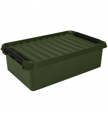 Aufbewahrungsbox the q-line 79600017, außen 40x60x18cm, Polypropylen grün/schwarz