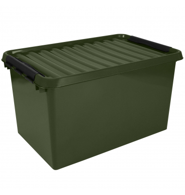 Aufbewahrungsbox the q-line 83500617, außen 40x60x34cm, Polypropylen grün/schwarz