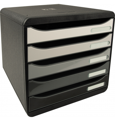 Exacompta Schubladenbox BIG-BOX PLUS 3097294D 5Schübe swshades gr