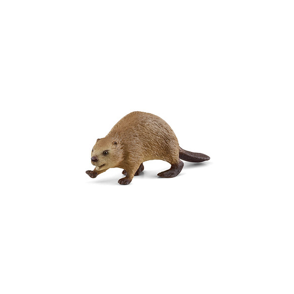 4059433692203 - Wild Life 14855 Biber Spielfigur 4059433692203 Schleich 4059433692203 - Wild Life 14855 Biber Spielfigur 4059433692203 Schleich