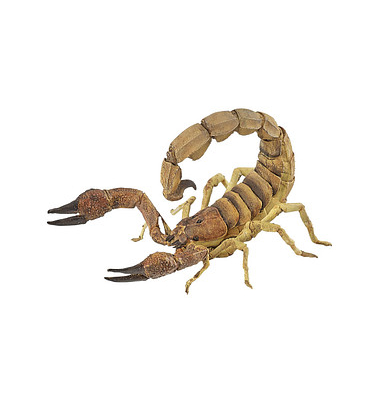 papo Wildtiere der Welt 50209 Skorpion Spielfigur papo Wildtiere der Welt 50209 Skorpion Spielfigur