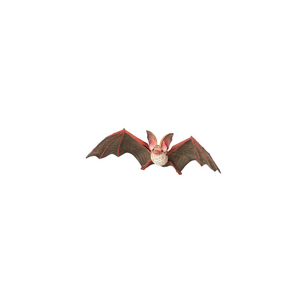 3465000502393 - Wildtiere der Welt 50239 Fledermaus Spielfigur 3465000502393 papo 3465000502393 - Wildtiere der Welt 50239 Fledermaus Spielfigur 3465000502393 papo