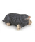 papo Gartentiere 50265 Maulwurf Spielfigur