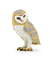 papo Wildtiere der Welt 53000 Eule Spielfigur