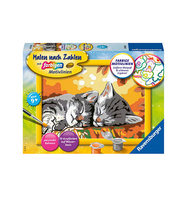 Ravensburger Malen-nach-Zahlen Kätzchen im Herbst mehrfarbig