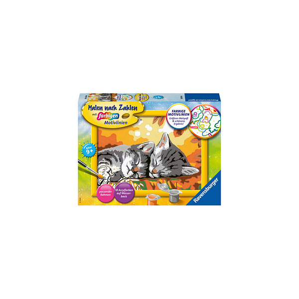 4005556286966 - Ravensburger Malen nach Zahlen 28696 - Kätzchen im Herbst - Kinder ab 9 Jahren 4005556286966 - Ravensburger Malen nach Zahlen 28696 - Kätzchen im Herbst - Kinder ab 9 Jahren