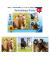 Ravensburger Liebe Pferde Puzzle 3x 49 Teile