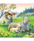 Ravensburger Kuschelzeit Puzzle 3x 49 Teile