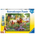 Ravensburger Wildpferde am Fluss Puzzle 300 Teile