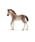 Schleich Horse Club 13822 Andalusier Fohlen Spielfigur
