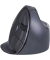 Maus Evoluent D VericalMouse re kl wireless