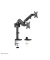 Neomounts by Newstar Monitor-Halterung DS70-750BL2 schwarz, Tischklemme, Tischbohrung