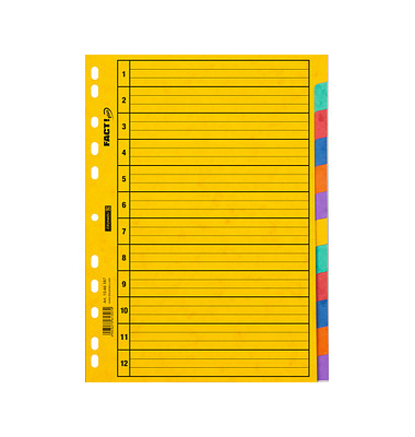 Kartonregister FACT!plus 1066587, 12-teilig blanko, A4, 225 g/m², 12-teilig