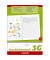 Geschichtenheft 10-4499103, Lineatur 3G / Schreiblern-Lineatur, A4, 90g, grün/rot, 16 Blatt / 32 Seiten