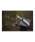 No. 8 Black Oak Klappmesser braun