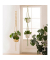 Makramee-Set Urban Jungle natur, rosé Makramee-Set