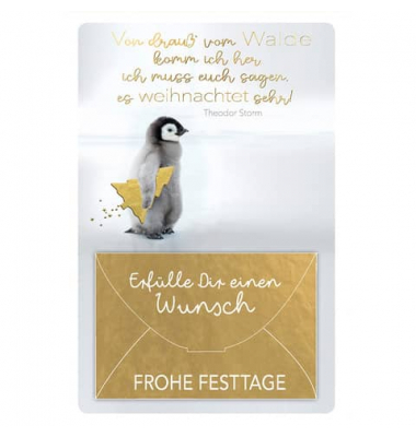 22657   Geldkuvert Weihnachtsgeldgeschenkkarte