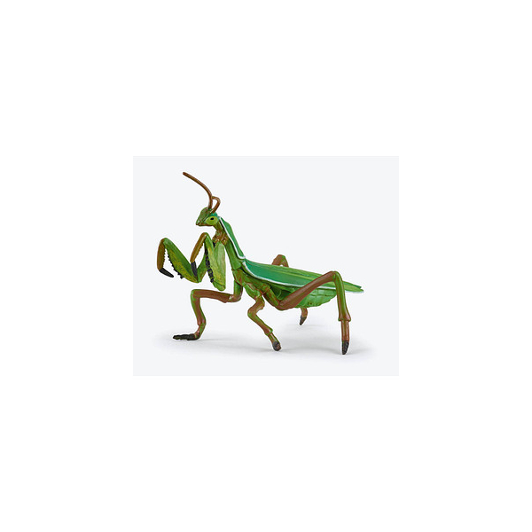 3465000502447 - Gartentiere 50244 Gottesanbeterin Spielfigur 3465000502447 papo 3465000502447 - Gartentiere 50244 Gottesanbeterin Spielfigur 3465000502447 papo