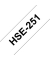 brother Schrumpfschlauch HSe-251E HSE251E, 21 mm schwarz auf weiß