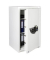 Sicherheitsschrank 41620 WS Office 804 E FP 174 l 163kg lichtgrau mit Fingerabdruckschloss Stahl