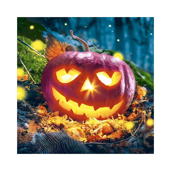7321012032586 - 203258 Motivserviette 33x33cm Halloween 7321012032586 PAPER+DESIGN 7321012032586 - 203258 Motivserviette 33x33cm Halloween 7321012032586 PAPER+DESIGN